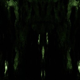 IMPETUOUS RITUAL - Unholy Congregation Of Hypocritical Ambivalence 2LP - Limited Edition