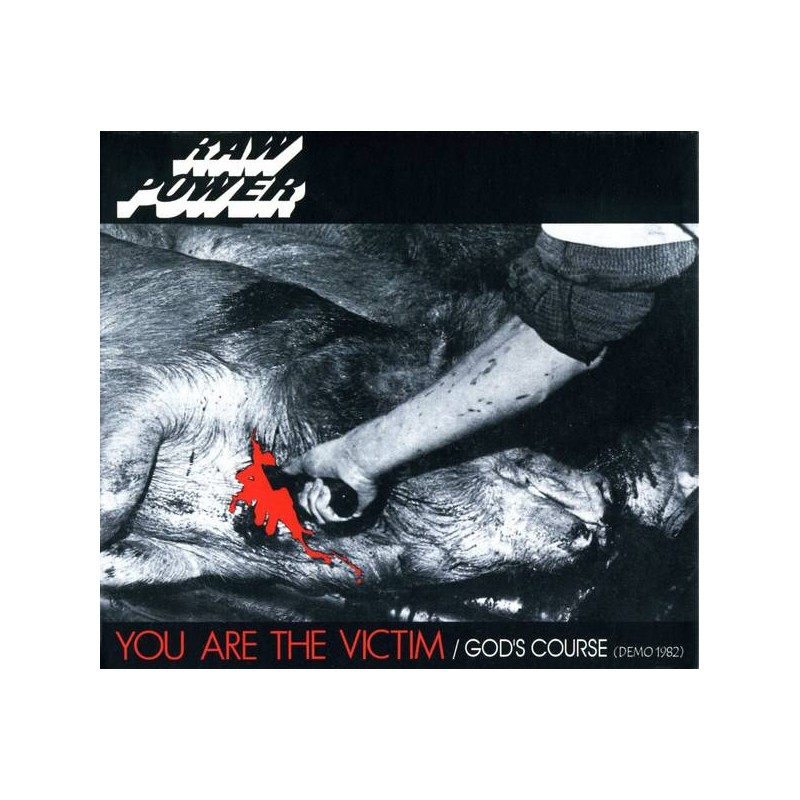 RAW POWER - You Are The Victim / God's Course CD Digipack