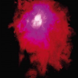 PORCUPINE TREE - Up The Downstair - 2LP Gatefold