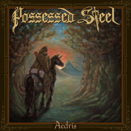 POSSESSED STEEL - Aedris - LP
