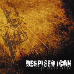 DESPISED ICON - The Healing Process CD