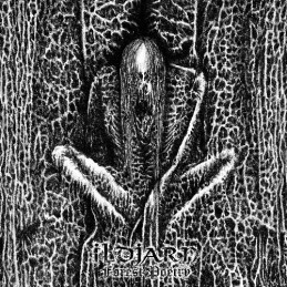 ILDJARN - Forest Poetry CD